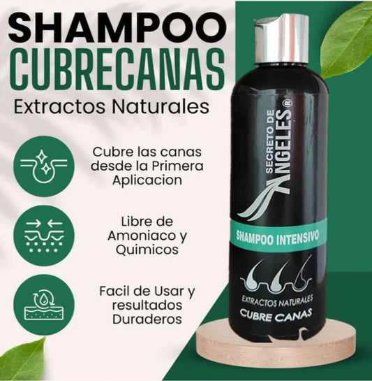 Shampoo Anticanas